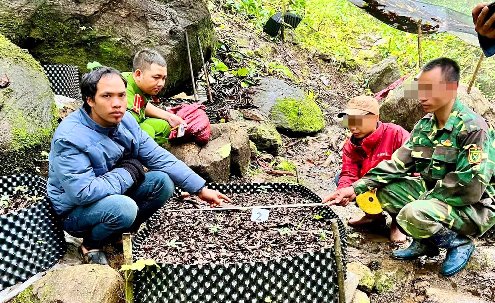 Công an đưa bị can A Ngang lên vườn sâm Ngọc Linh bị trộm dựng lại hiện trường. Ảnh: CA. Công an đưa bị can A Ngang lên vườn sâm Ngọc Linh bị trộm dựng lại hiện trường. Ảnh: CA.
