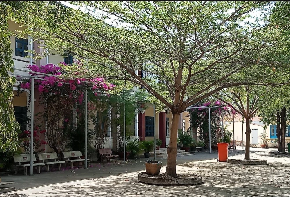 Một trường tiểu học ở huyện Tánh Linh áp dụng hạ bậc lương của giáo viên hợp đồng. hạ bậc lương